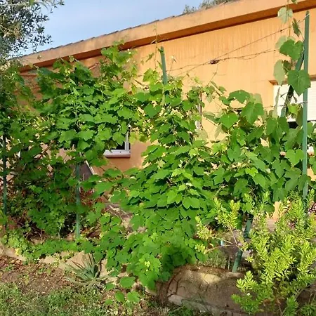 Casapiana Nyaraló *