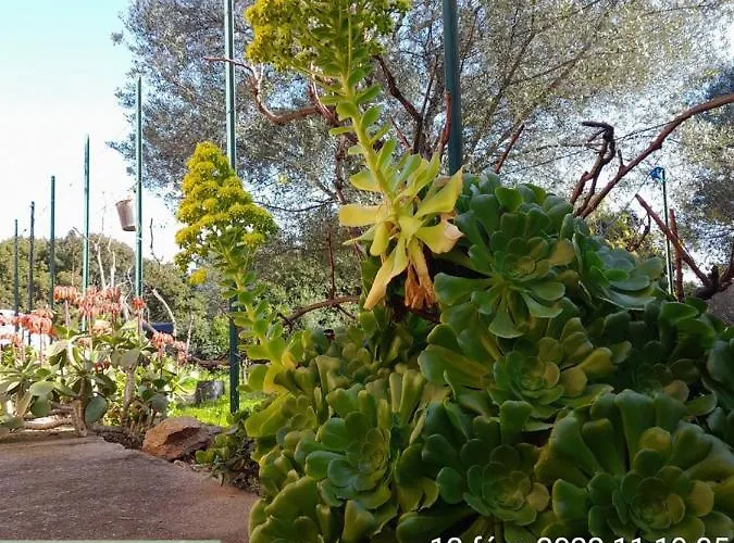 Casapiana * Porto-Vecchio (Corsica)